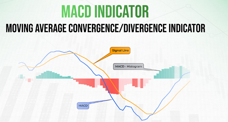 MACD chart showing bullish and bearish crossovers